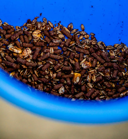 Horse Quencher - 8 Pack Single Serve