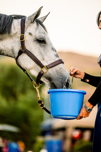 Horse Quencher - 8 Pack Single Serve
