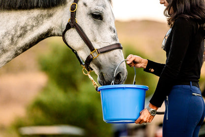 Horse Quencher - 13 lbs Pail